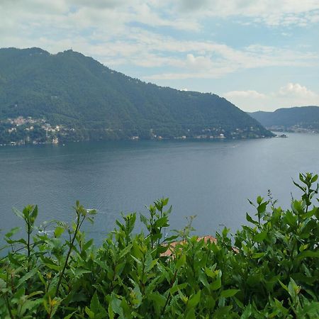 Little Garden House Villa Cernobbio Exterior foto